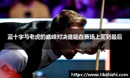 伟德bv国际
